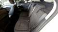 Ford Focus 1.5 Ecoboost Active 150 Blanco - thumbnail 13