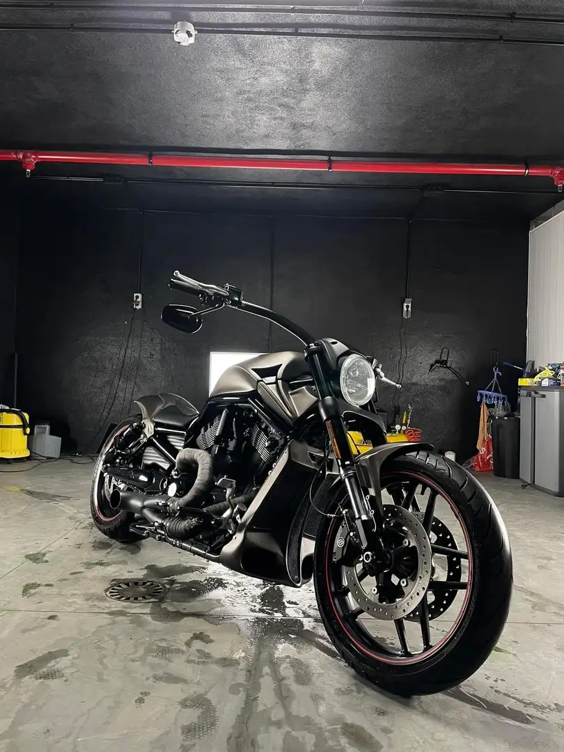 Harley-Davidson Night Rod Beige - 1