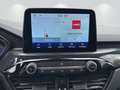 Ford Kuga 2.5 Duratec FHEV 4x4 ST-LINE X Rood - thumbnail 8