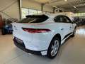 Jaguar I-Pace Austria Sport Edition Ev320 AWD -Wenig KM Weiß - thumbnail 7
