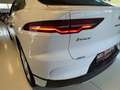 Jaguar I-Pace Austria Sport Edition Ev320 AWD -Wenig KM Weiß - thumbnail 10