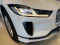 Jaguar I-Pace Austria Sport Edition Ev320 AWD -Wenig KM Weiß - thumbnail 5