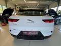 Jaguar I-Pace Austria Sport Edition Ev320 AWD -Wenig KM Weiß - thumbnail 9