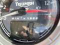Triumph Street Triple 675 R crna - thumbnail 6