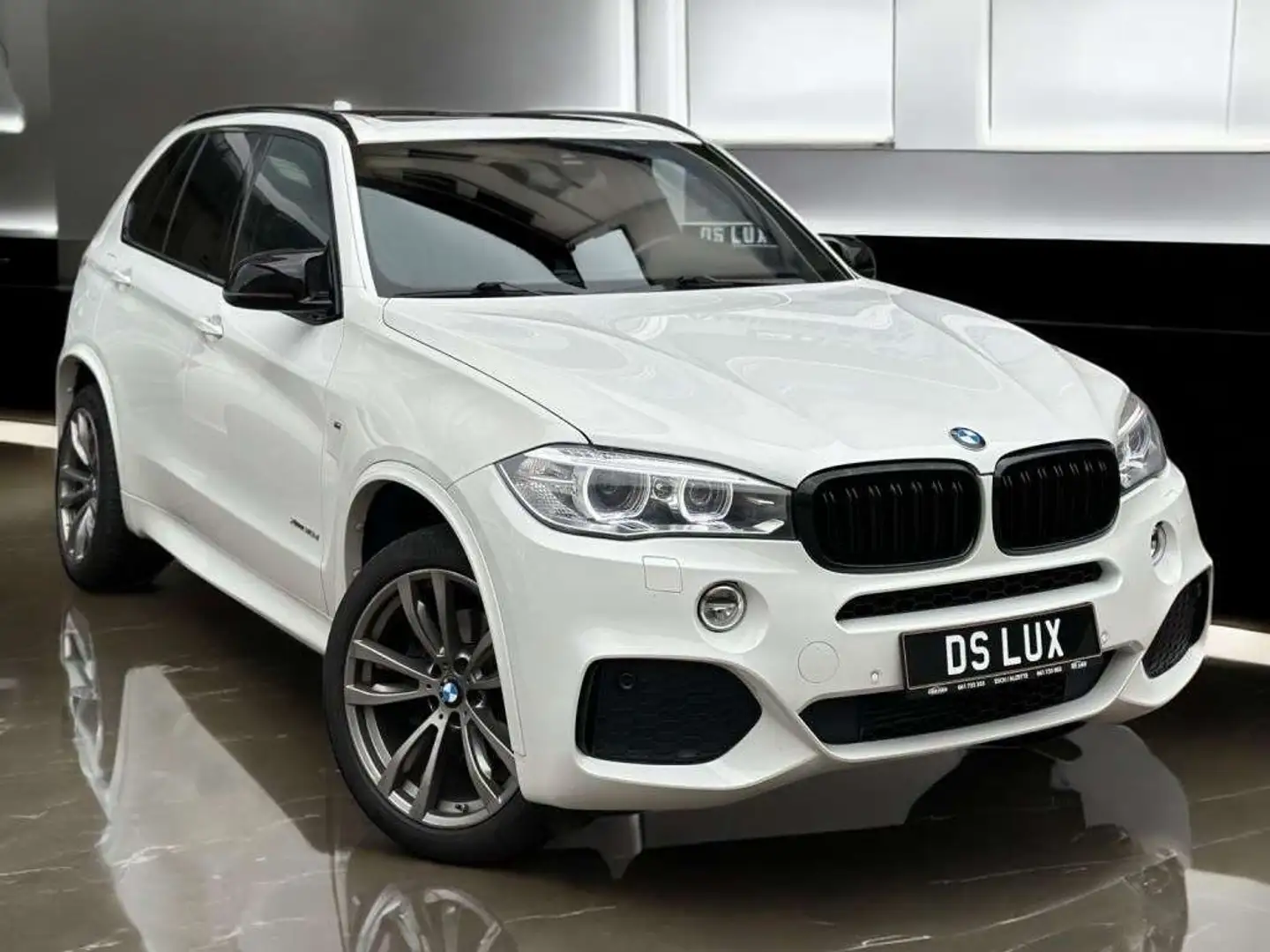 BMW X5 xDrive30d 258CH M PACK / PANO / LED Wit - 1