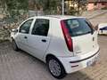 Fiat Punto Punto 5p 1.2 natural power Classic White - thumbnail 7