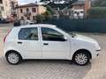 Fiat Punto Punto 5p 1.2 natural power Classic Blanc - thumbnail 5