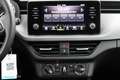 Skoda Scala 1.0 TSI 110 PK Ambition, WEgklapbare Trekhaak, Ful Grau - thumbnail 14