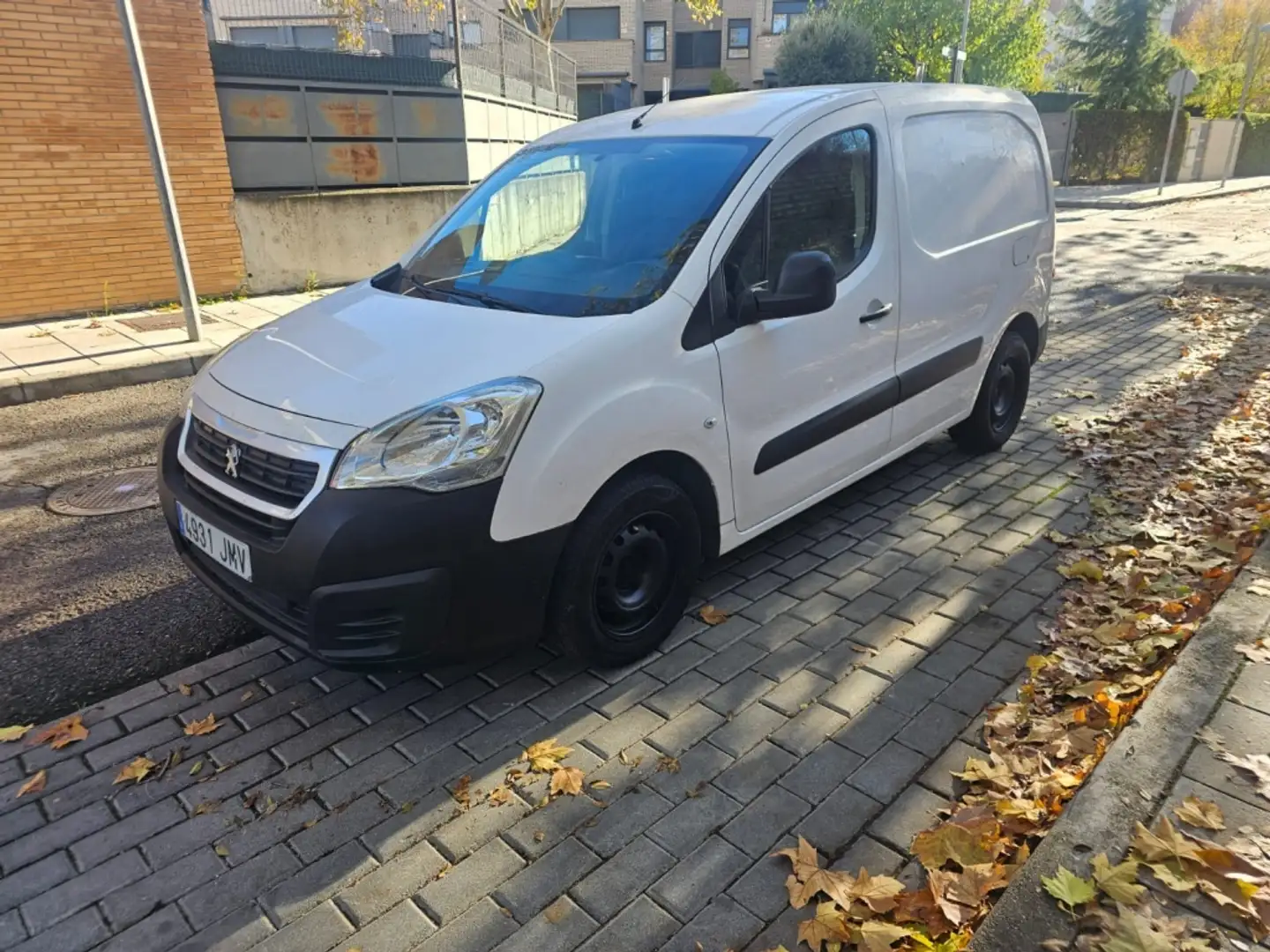 Peugeot Partner P. Tepee 1.6BlueHDI Dangel Pro Ext. 4x4 10 Blanco - 1