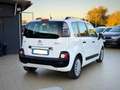 Citroen C3 Picasso 1.6 HDI Garanzia 12 Mesi - thumbnail 3