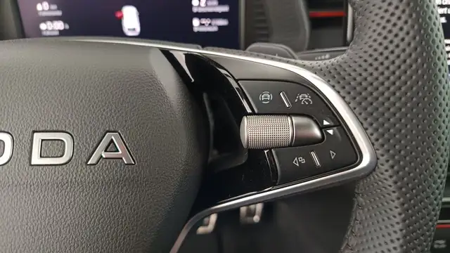 Skoda Scala view 15