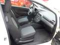 Fiat Grande Punto 1.2 8V Basis ( 09.2010 Weiß - thumbnail 14