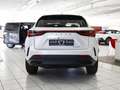 Lexus NX 450h+ Business LEDER PDC KAMERA "sofort Lieferbar" Weiß - thumbnail 3