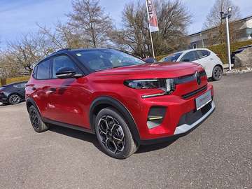 E- Electric 113 44kWh Max AKTION TAGESZULASSUNG