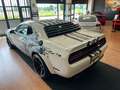 Dodge Challenger Dodge Challenger Sxt Plus 3.6L V6 PUNISHER Bianco - thumbnail 11