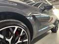 Aston Martin DBX / Xenon Grey / Obsidian Black & Spicy Red Gris - thumbnail 8