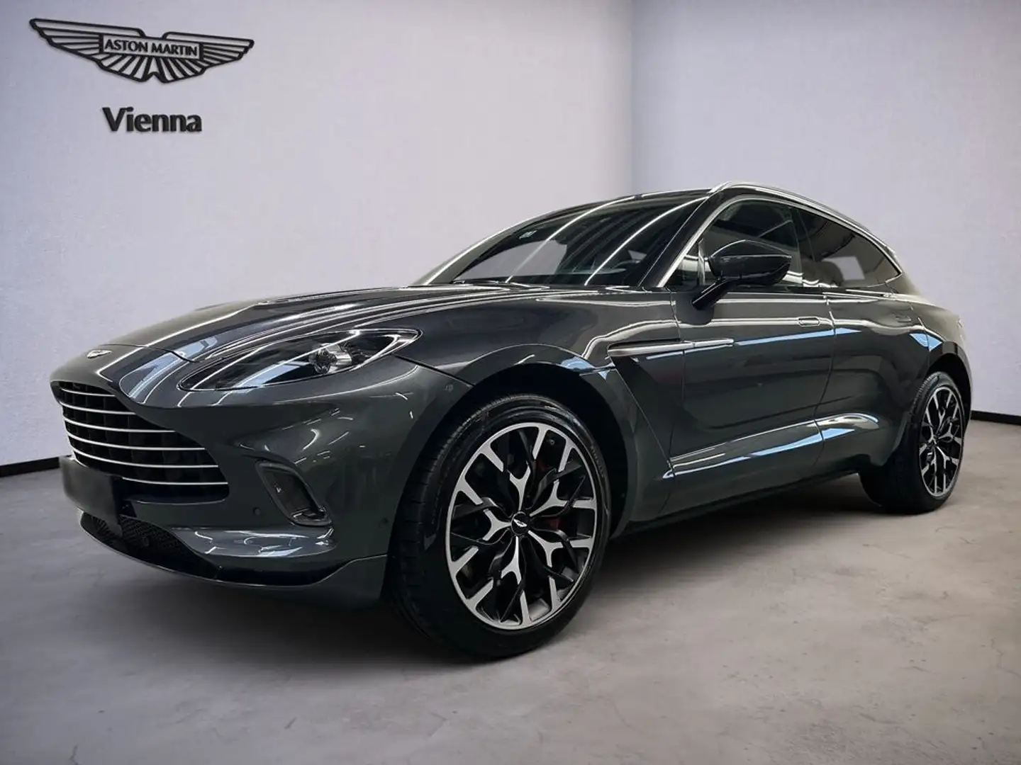 Aston Martin DBX / Xenon Grey / Obsidian Black & Spicy Red Grau - 1