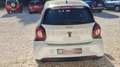 smart forFour 66 Passion Weiß - thumbnail 6