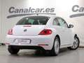 Volkswagen Beetle 1.2 TSI Design 105 Blanc - thumbnail 4