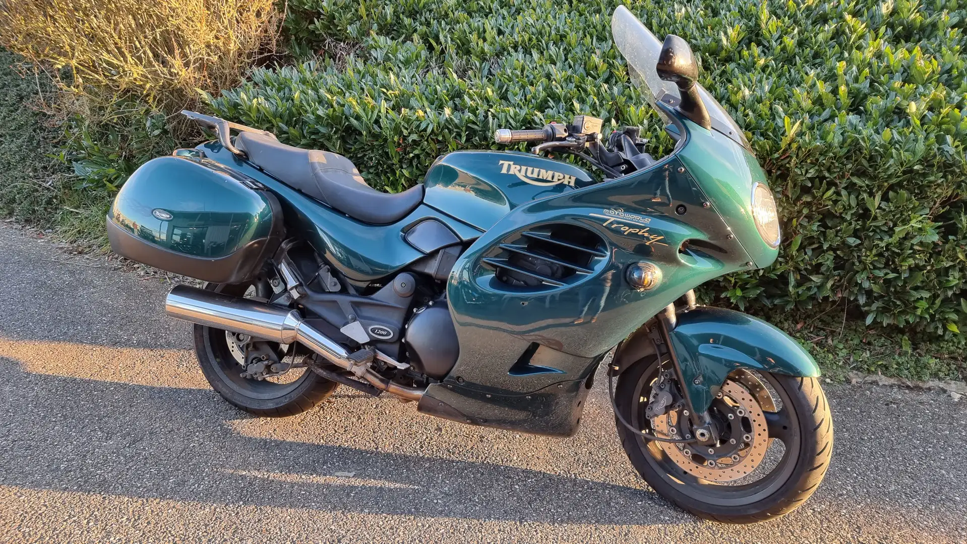 Triumph Trophy Verde - 1