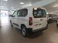 Citroen Berlingo Talla M BlueHDi 100 S&S YOU - thumbnail 9