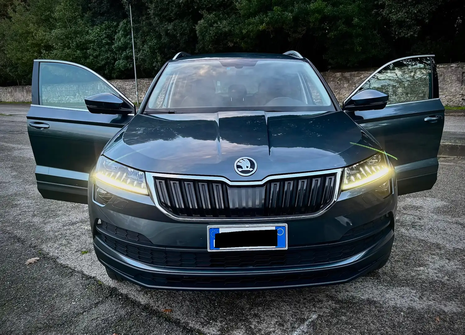 Skoda Karoq Karoq 1.6 tdi Style dsg Grijs - 2