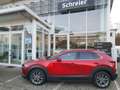 Mazda CX-30 Selection Design-P. Premium-P. 1.Hand AHK Rouge - thumbnail 1