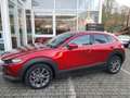 Mazda CX-30 Selection Design-P. Premium-P. 1.Hand AHK Rouge - thumbnail 4