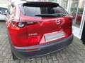 Mazda CX-30 Selection Design-P. Premium-P. 1.Hand AHK Rouge - thumbnail 7