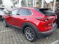 Mazda CX-30 Selection Design-P. Premium-P. 1.Hand AHK Rouge - thumbnail 6