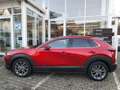 Mazda CX-30 Selection Design-P. Premium-P. 1.Hand AHK Rouge - thumbnail 5