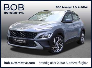 Hybrid NAVI 8 Fach Bereift