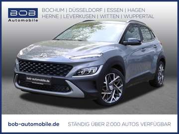 Hybrid NAVI 8 Fach Bereift