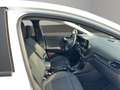 Ford Puma 1.0 EcoBoost Hybrid TITANIUM Weiß - thumbnail 7