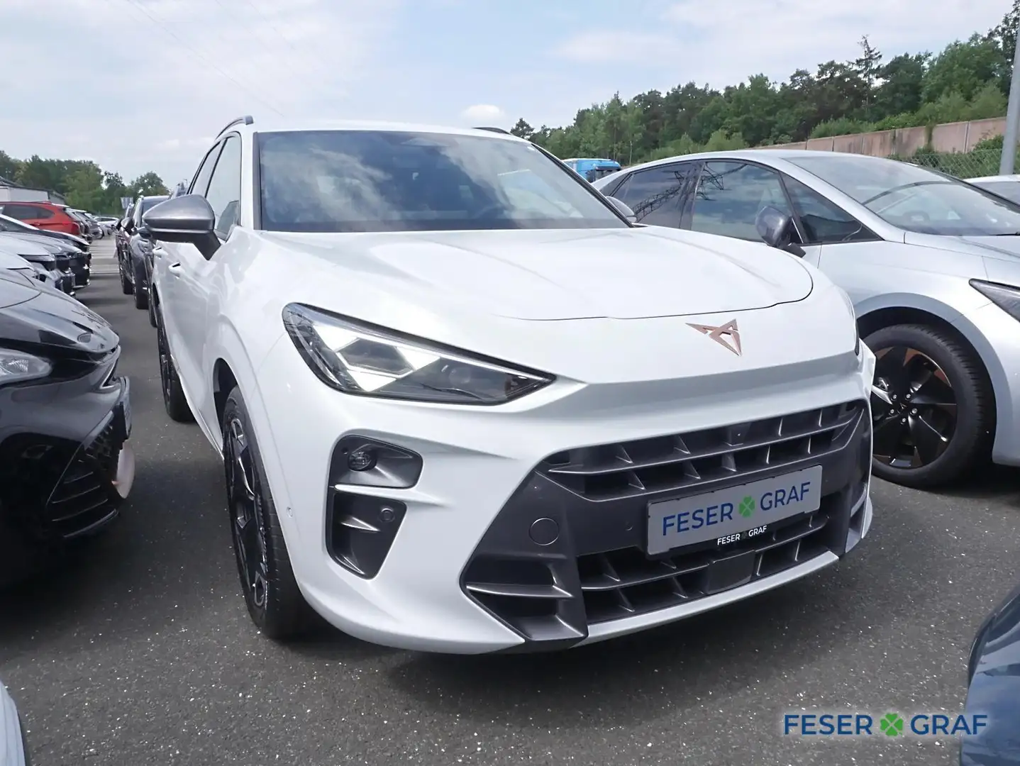 CUPRA Terramar 2.0 TSI 4Drive NAVI, SHZ, AHK Weiß - 2
