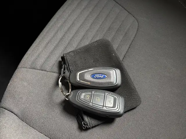 Ford Focus view 19
