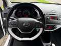 Kia Picanto 1.0 CVVT First Edition/Nieuwe APK en beurt! Blanc - thumbnail 12