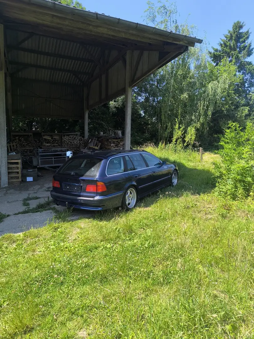 BMW 523 - 1