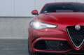 Alfa Romeo Giulia 2.9 V6 QUADRIFOGLIO - Automaat Rot - thumbnail 35