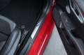 Alfa Romeo Giulia 2.9 V6 QUADRIFOGLIO - Automaat Rot - thumbnail 40