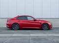 Alfa Romeo Giulia 2.9 V6 QUADRIFOGLIO - Automaat Rot - thumbnail 2
