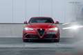 Alfa Romeo Giulia 2.9 V6 QUADRIFOGLIO - Automaat Rot - thumbnail 4