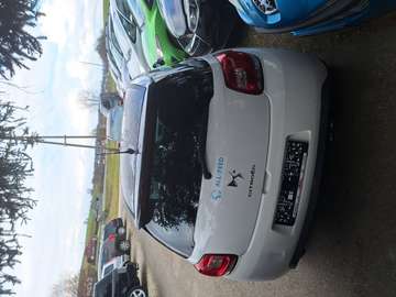 Export oder Händler