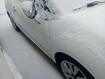 Export oder Händler