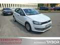 Volkswagen Polo 1.2 TDI Trendline - thumbnail 2