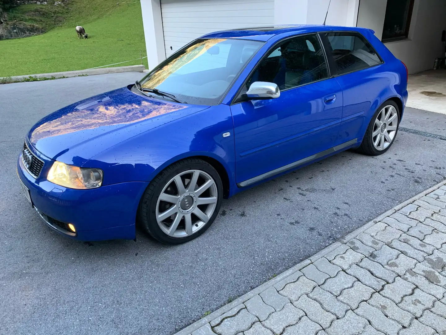 Audi S3 S3 quattro nogaroblau facelift Blauw - 1