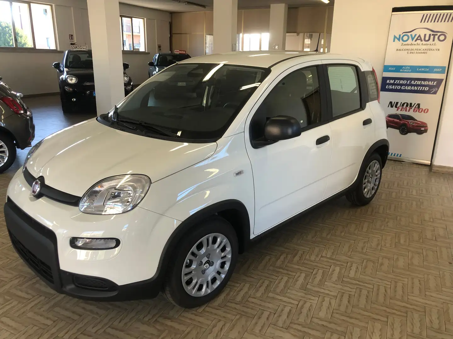 Fiat Panda Panda 1.0 firefly hybrid s Bianco - 1