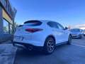 Alfa Romeo Stelvio 2.2 Turbodiesel 210 CV SUPER AT8 Q4 PELLE NAVI Bianco - thumbnail 2