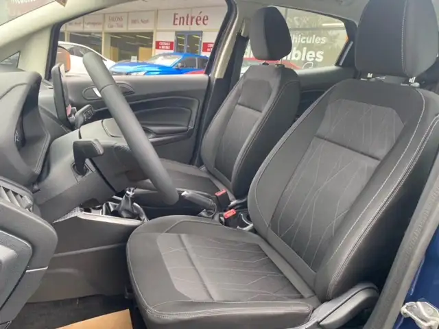 Ford Ecosport view 11