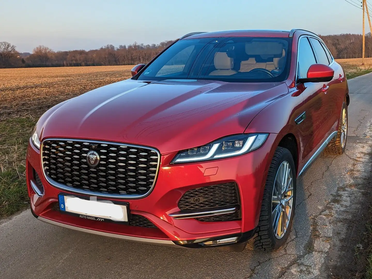 Jaguar F-Pace F-Pace D300 AWD HSE MHEV Rot - 2